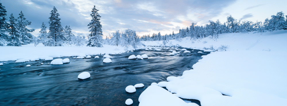 Header delarsrapport q1 2025